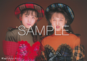 Wink Performance&Visual Memories 2作品セット Wink | Wink Visual Memories 1988-1996 ～30th Limited Edition