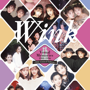 Wink Visual Memories 1988-1996 ～30th Limited Edition～
