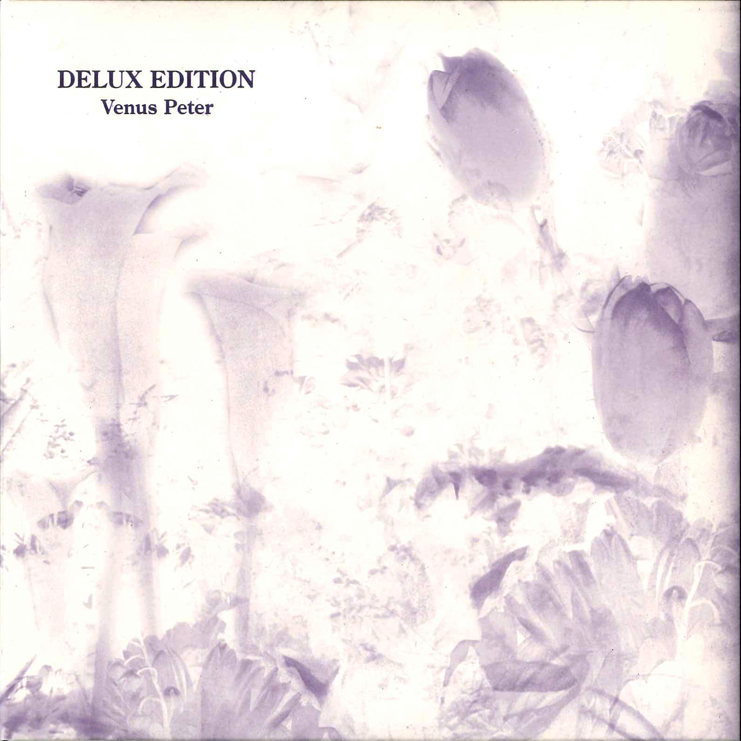 DELUXE EDITION (THE BEST OF V.P).jpg